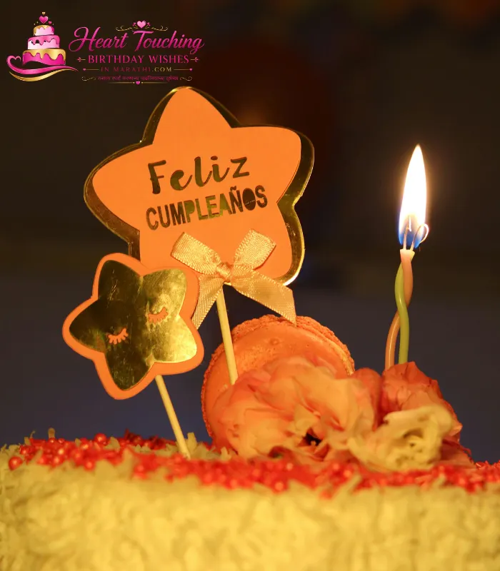Birthday Wishes for Brother in Marathi Shayari